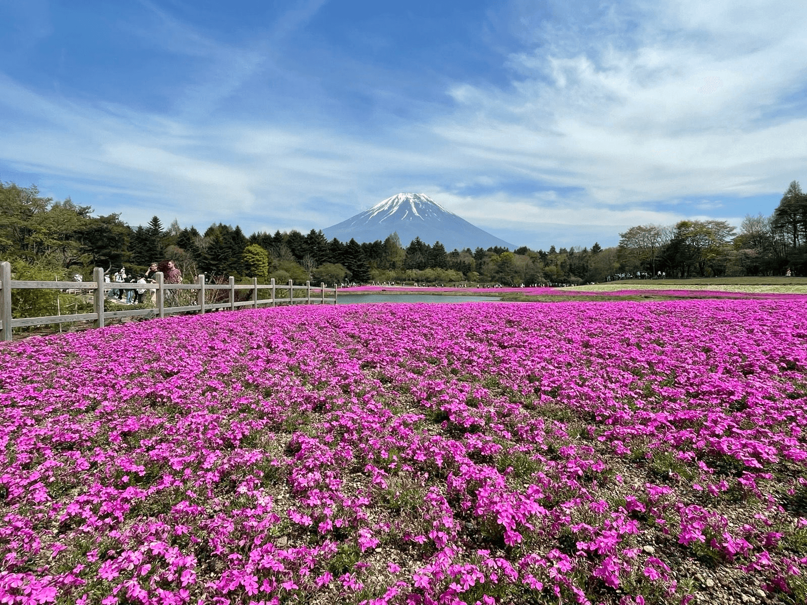 Cycling scenery 1