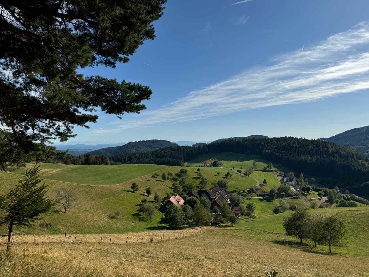 Freiburg - Reinach