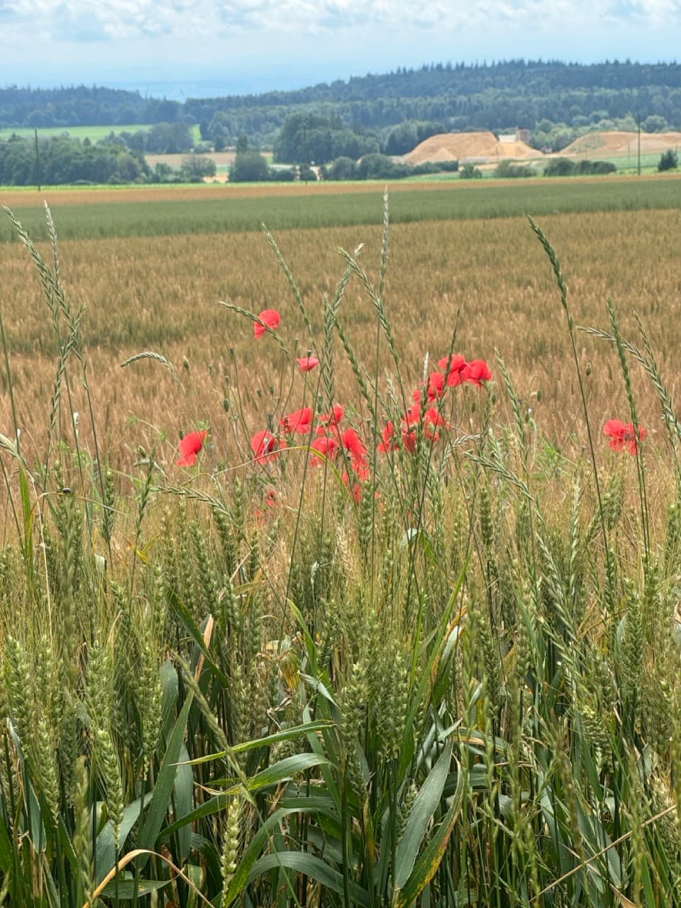 Reinach - Neuchâtel