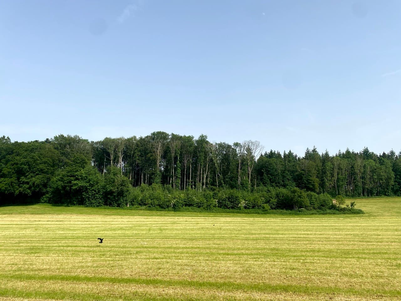 Day 4: Pfullendorf → Memmingen