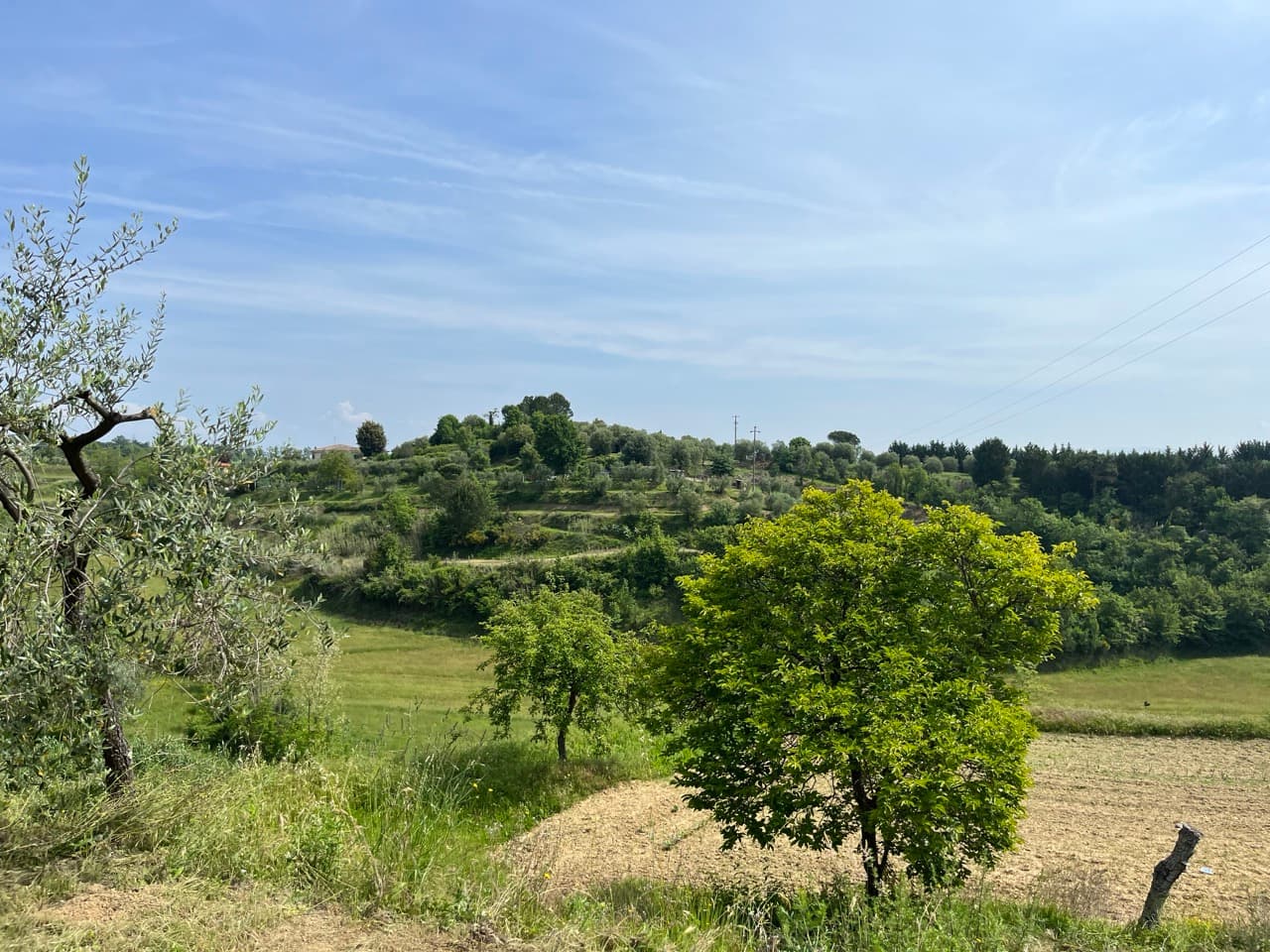 Tag 7: Lucca → Firenze