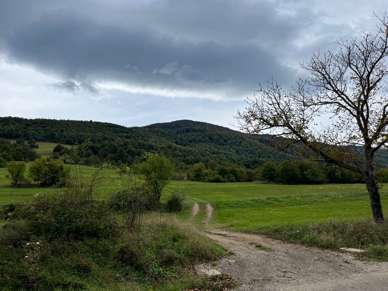 Tag 2: Montana → Belogradchik