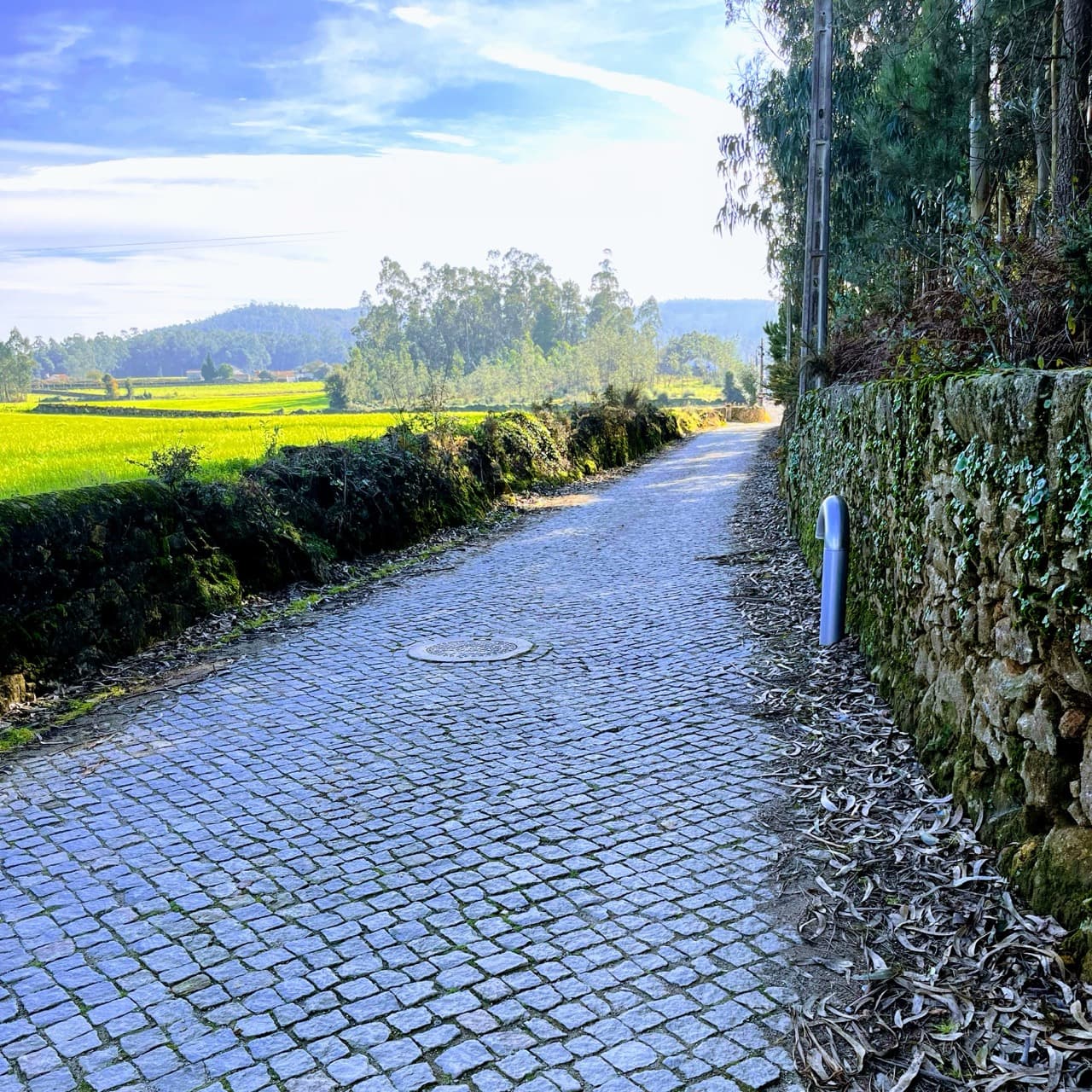 Day 4: Ponte de Lima → Porto