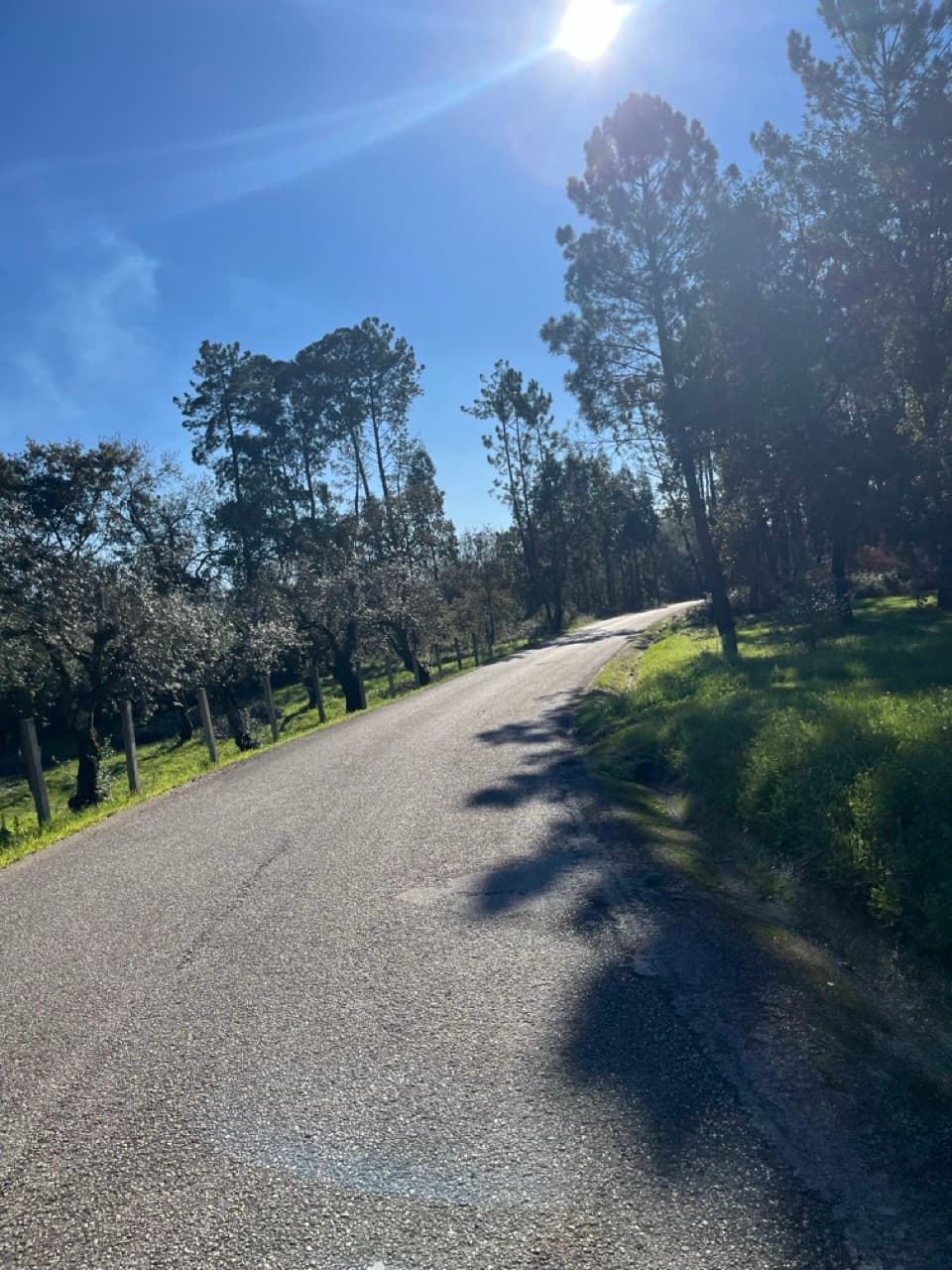 Tag 9: Pombal → Fátima