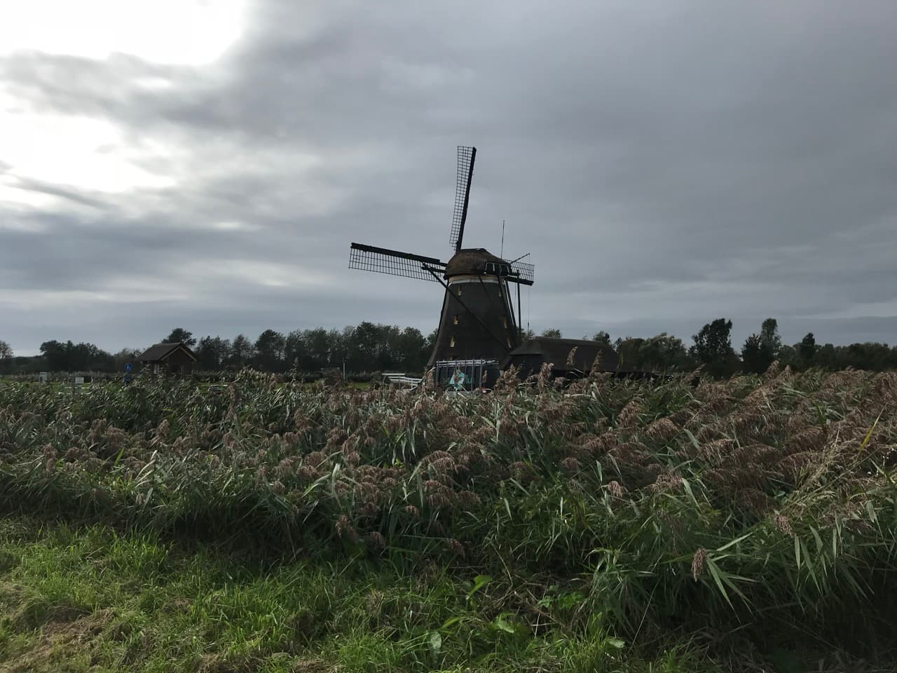 Day 10: Amsterdam → Rotterdam