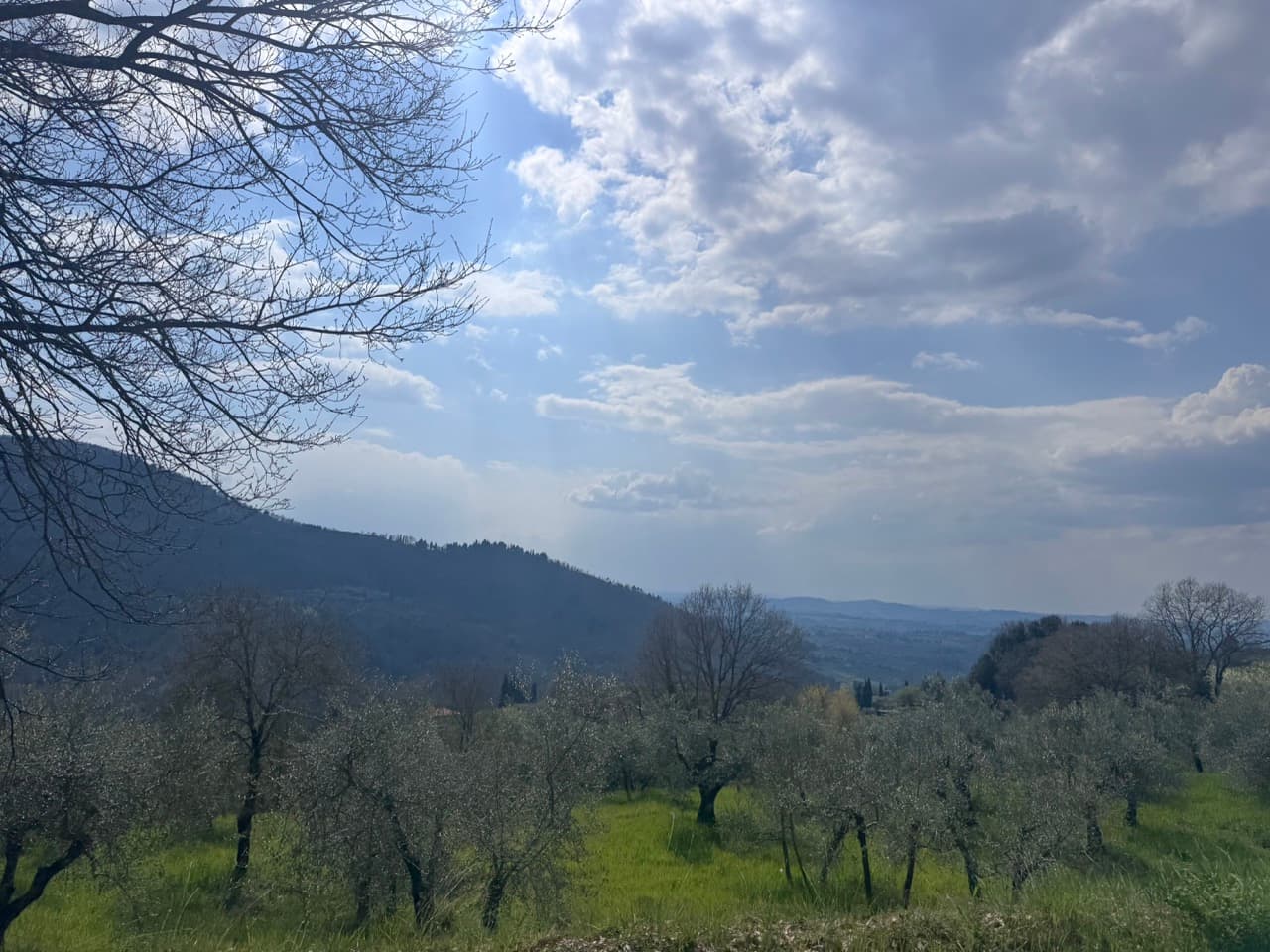 Montevarchi - Florence