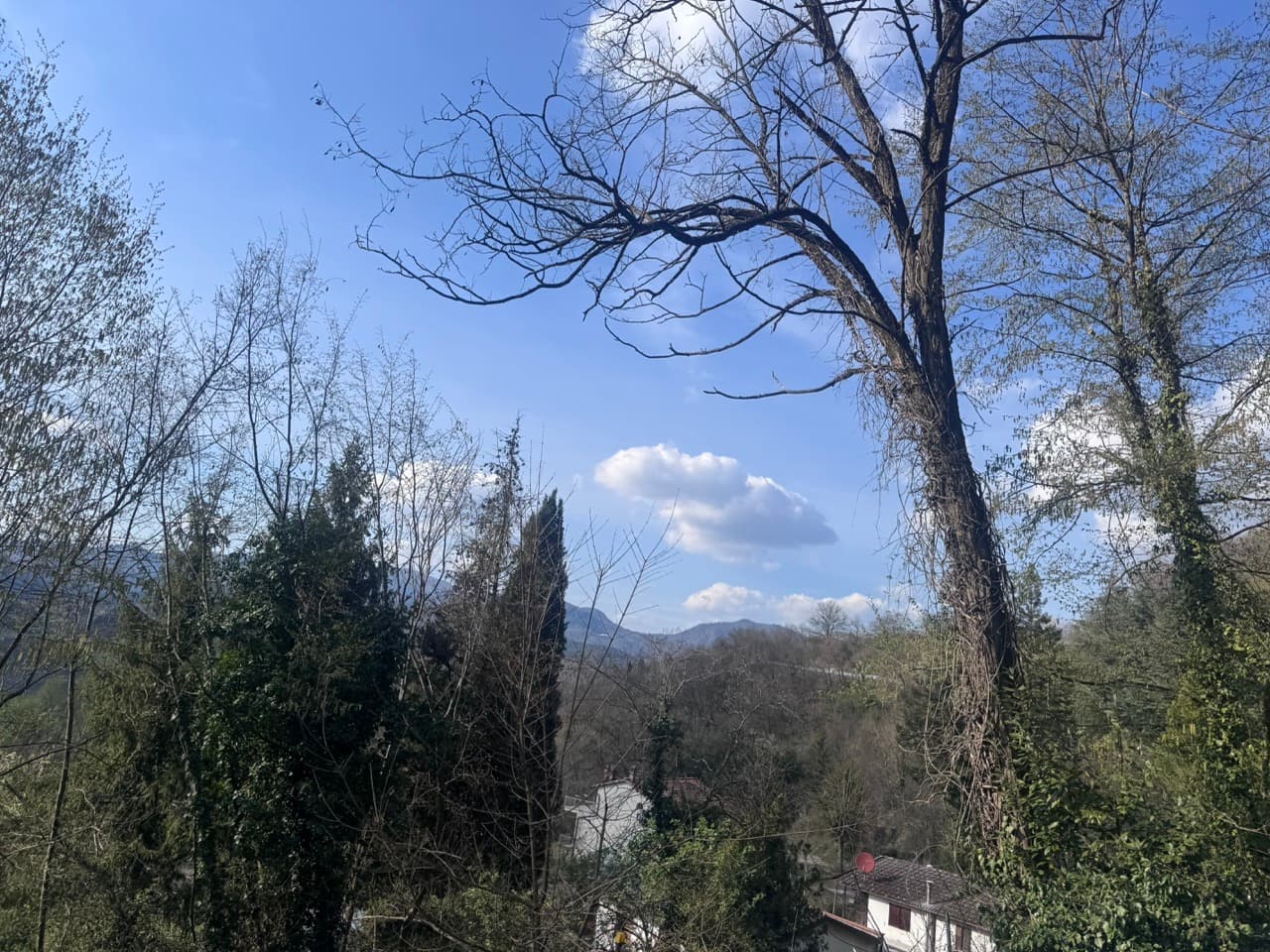 Florence - Unione dell'Appennino Bolognese