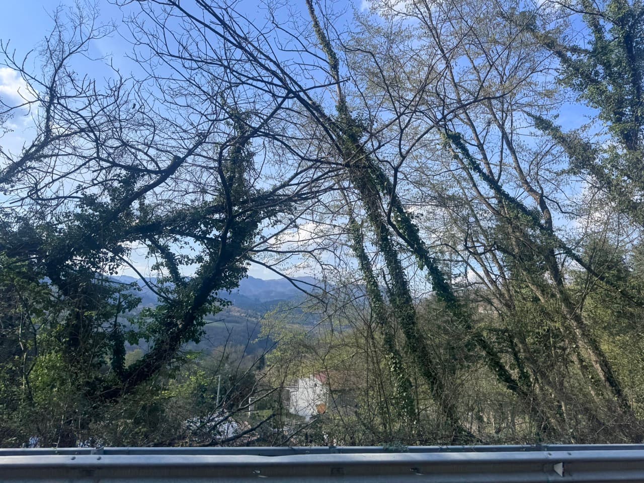 Florence - Unione dell'Appennino Bolognese
