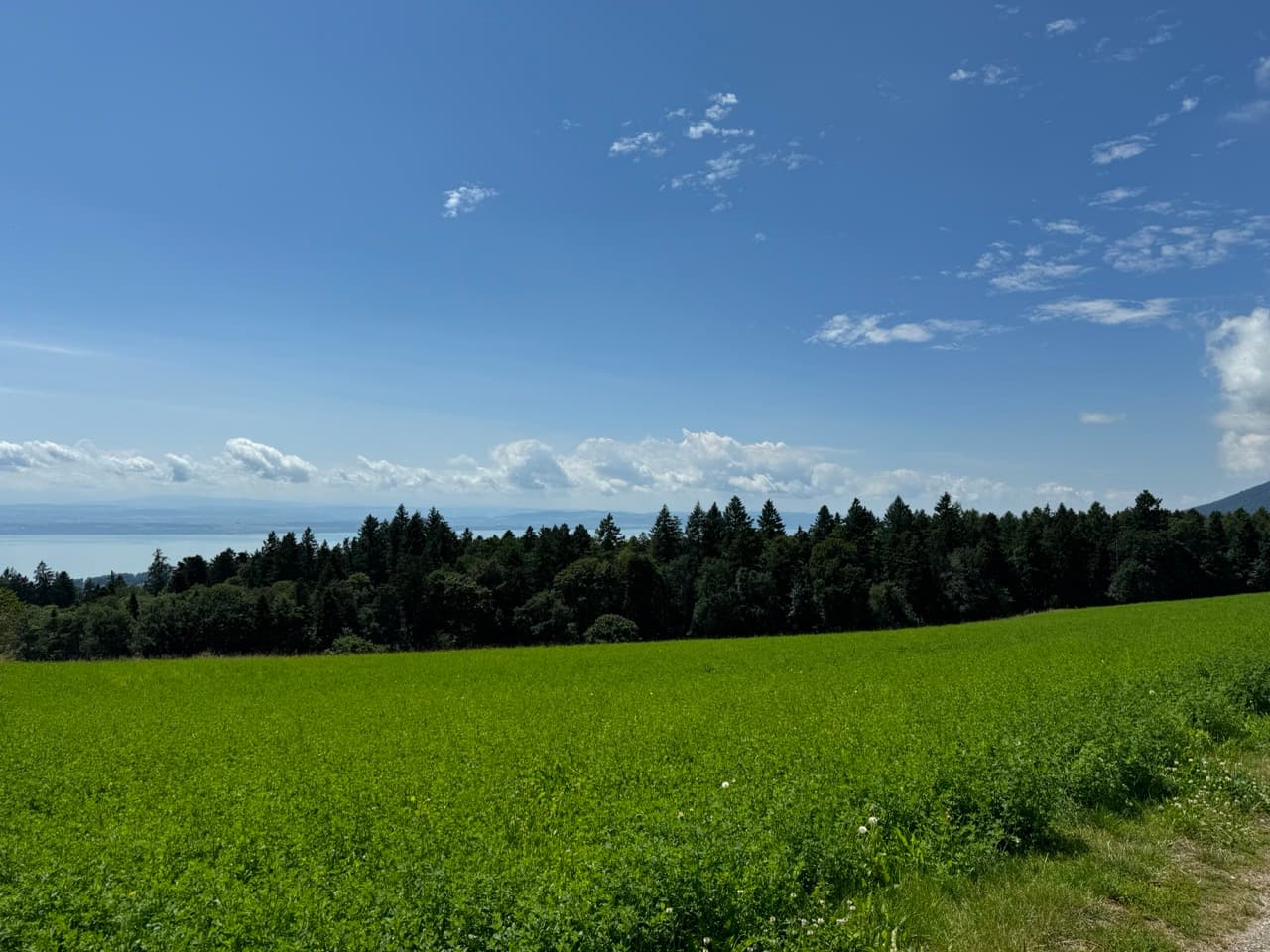 Lake Neuchatel