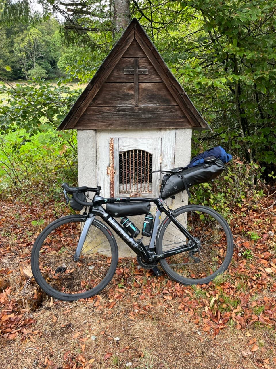 Champagne cycling