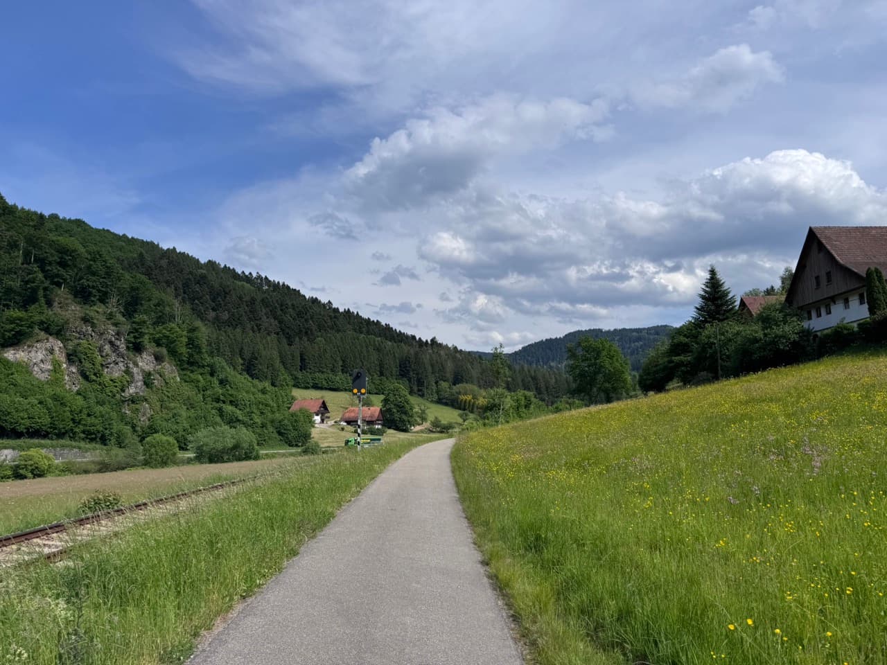 Black Forest