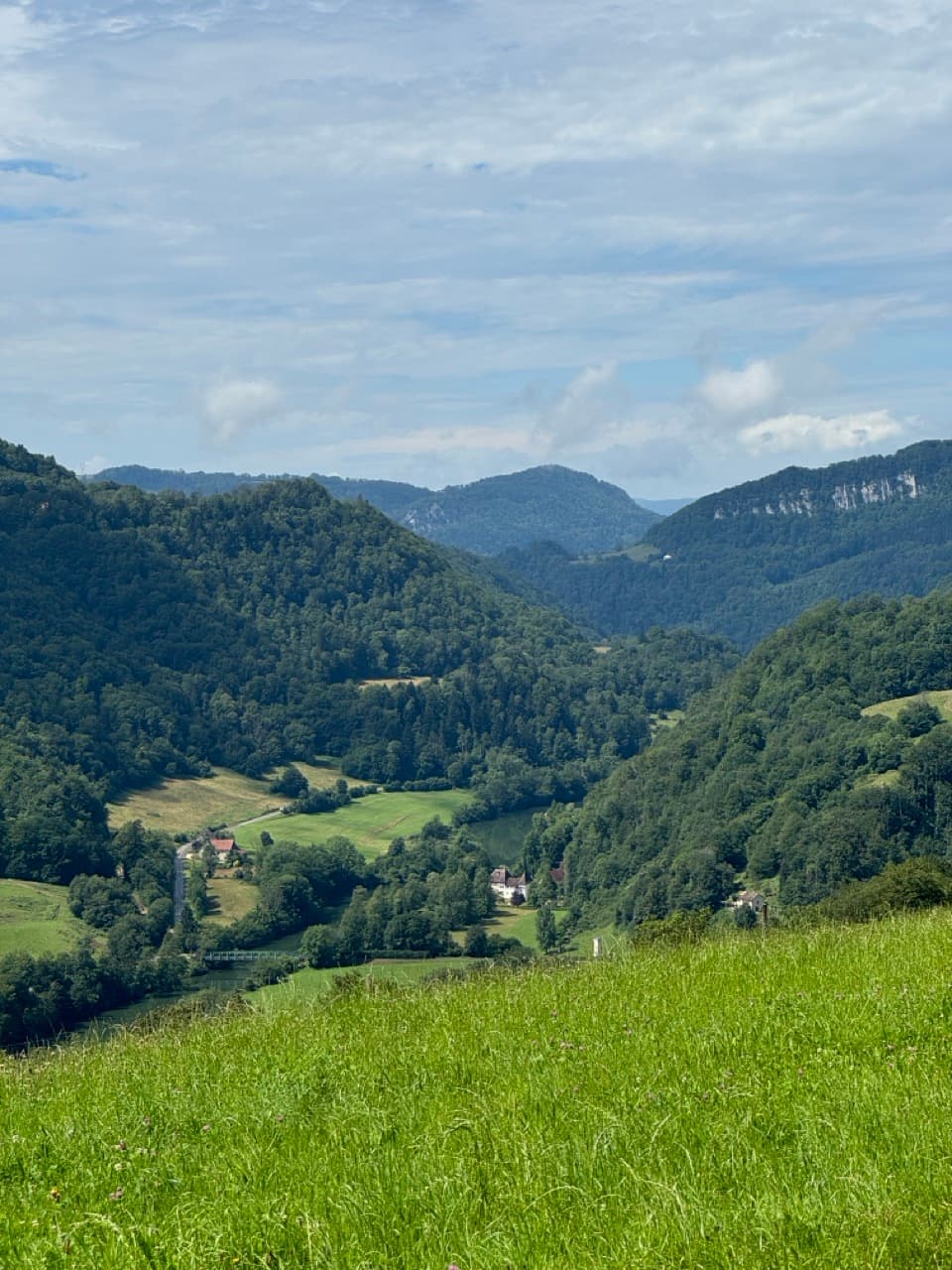 Gros-IMG_8299