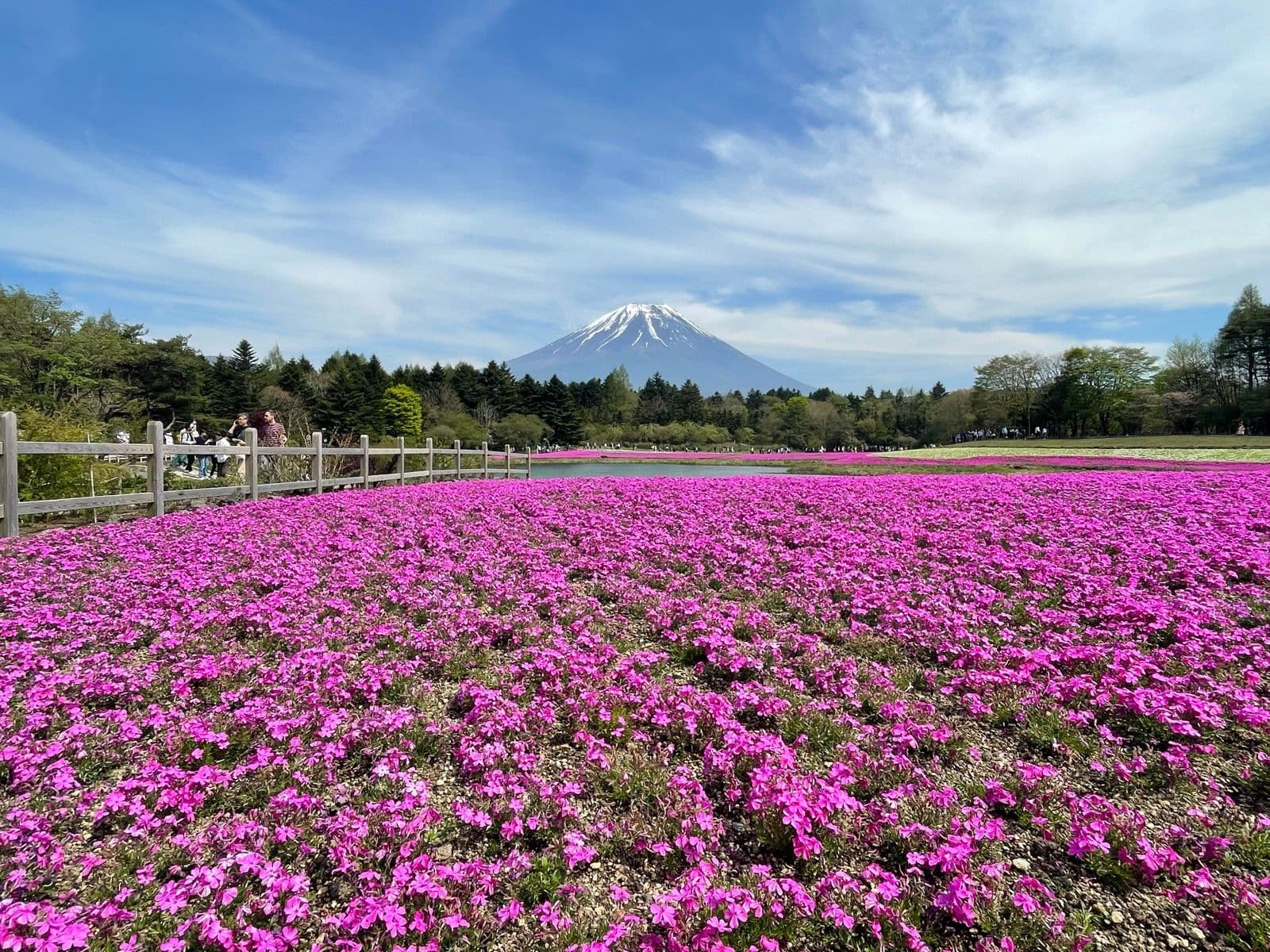 Mount Fuji